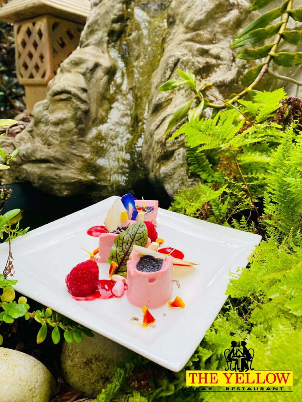 Mousse de fruits rouges aux piments